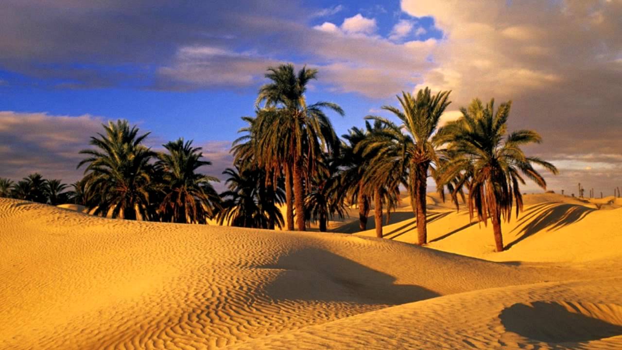قانون «الأراضي الصحراوية» لا ينطبق على سيناء: لا تمليك للأجانب